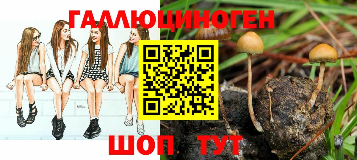 Галлюциногенные грибы Psilocybe  Вход с VPN  Губкин  Галлюциногенные грибы Cubensis 
