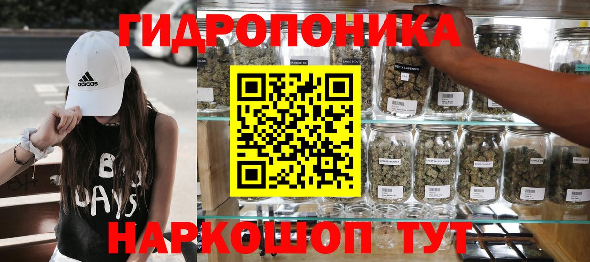 Бошки Шишки сатива  Каннабис OG Kush  Бошки марихуана сатива  Вход с VPN  Губкин 